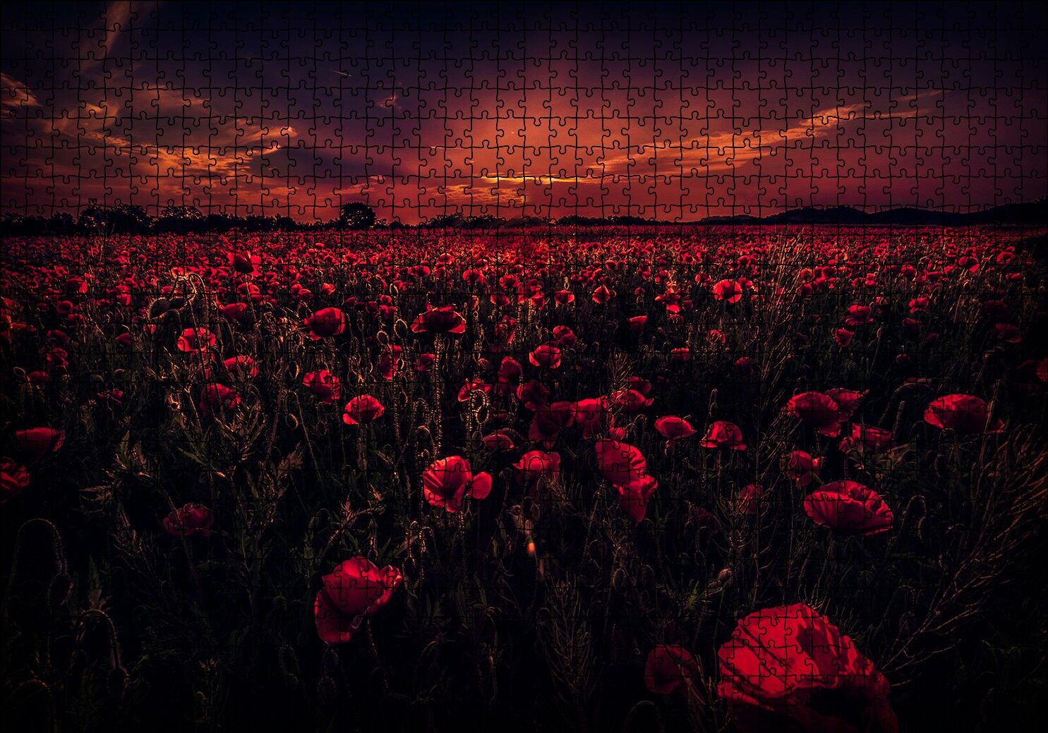 Günbatımı Gelincik Tarlası ve Kızıl Gökler Puzzle Yapboz MDF Ahşap 1000 Parça 49 cm X 68 cm