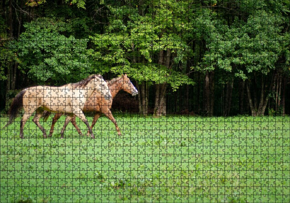 Orman Yeşil Çayırlar ve Bir Çift At Puzzle Yapboz MDF Ahşap 1000 Parça 49 cm X 68 cm