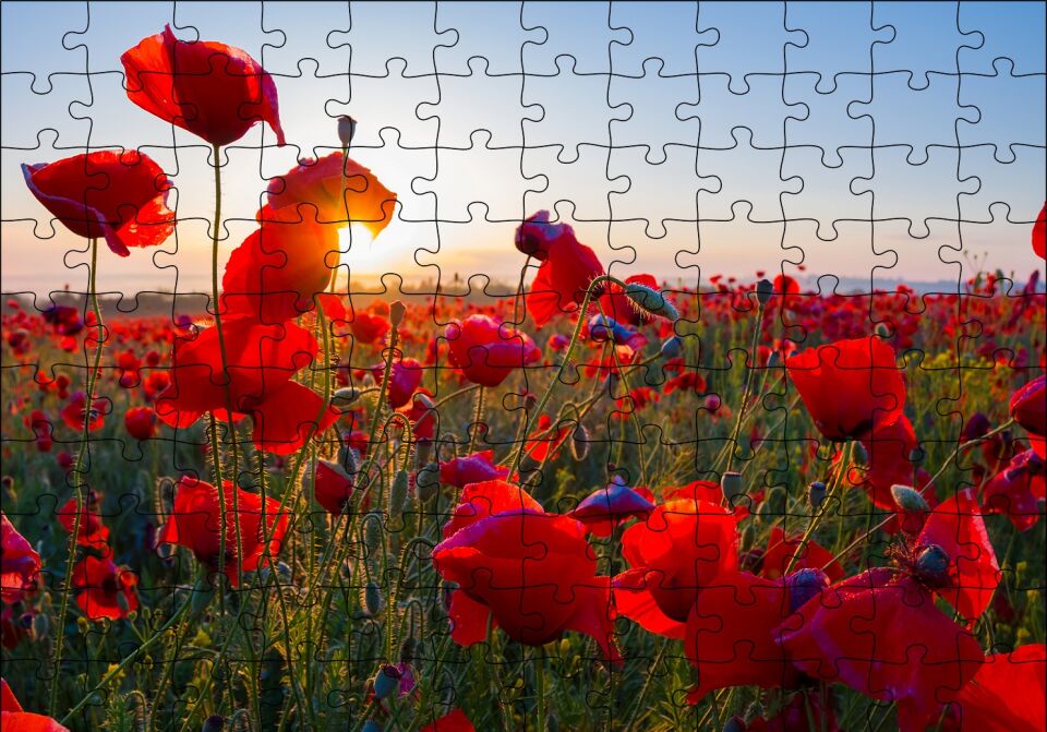 Gündoğumu Çayırda Kırmızı Gelincikler Puzzle Yapboz MDF Ahşap 120 Parça 24 cm X 34 cm