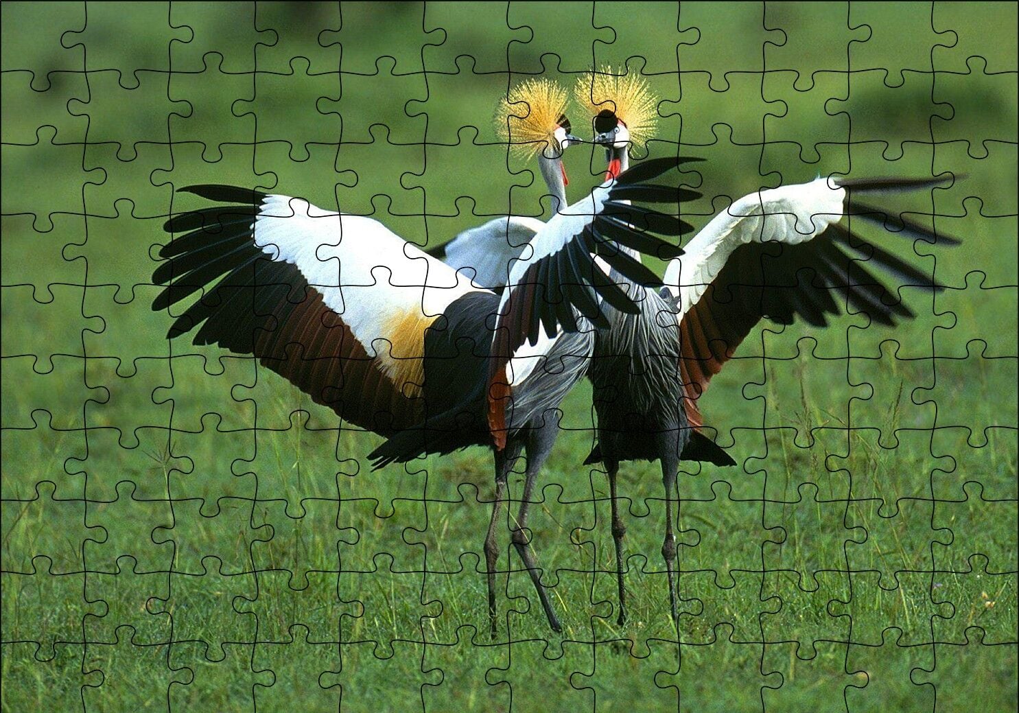 Çayırda Dans Eden Turnalar Puzzle Yapboz MDF Ahşap 120 Parça 24 cm X 34 cm
