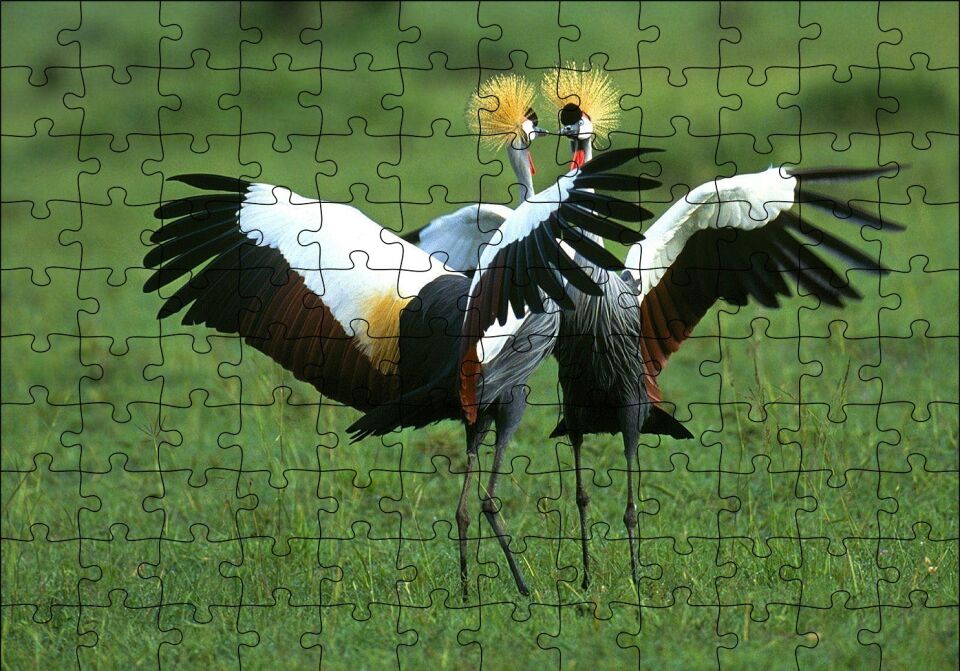Çayırda Dans Eden Turnalar Puzzle Yapboz MDF Ahşap 120 Parça 24 cm X 34 cm