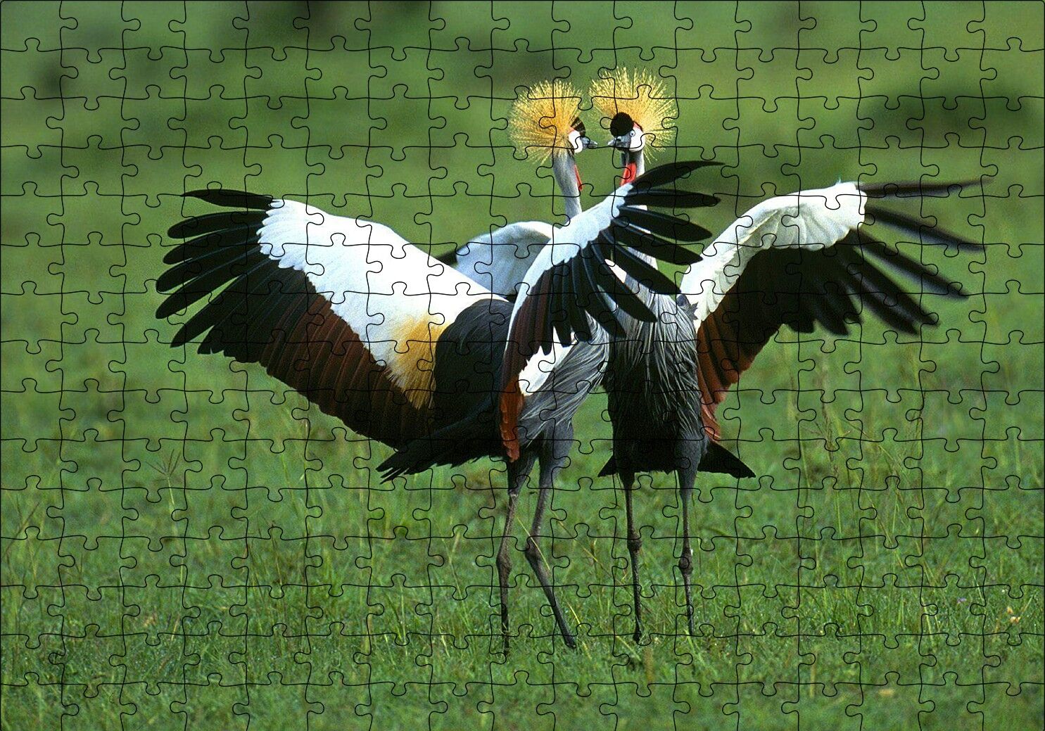 Çayırda Dans Eden Turnalar Puzzle Yapboz MDF Ahşap 255 Parça 34 cm X 49 cm