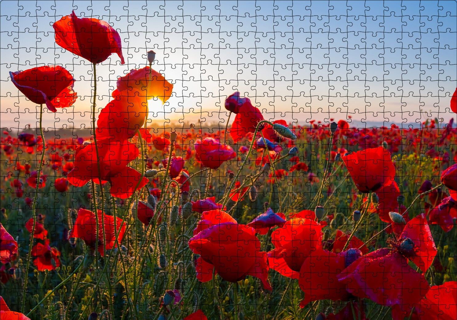 Gündoğumu Çayırda Kırmızı Gelincikler Puzzle Yapboz MDF Ahşap 500 Parça 49 cm X 68 cm