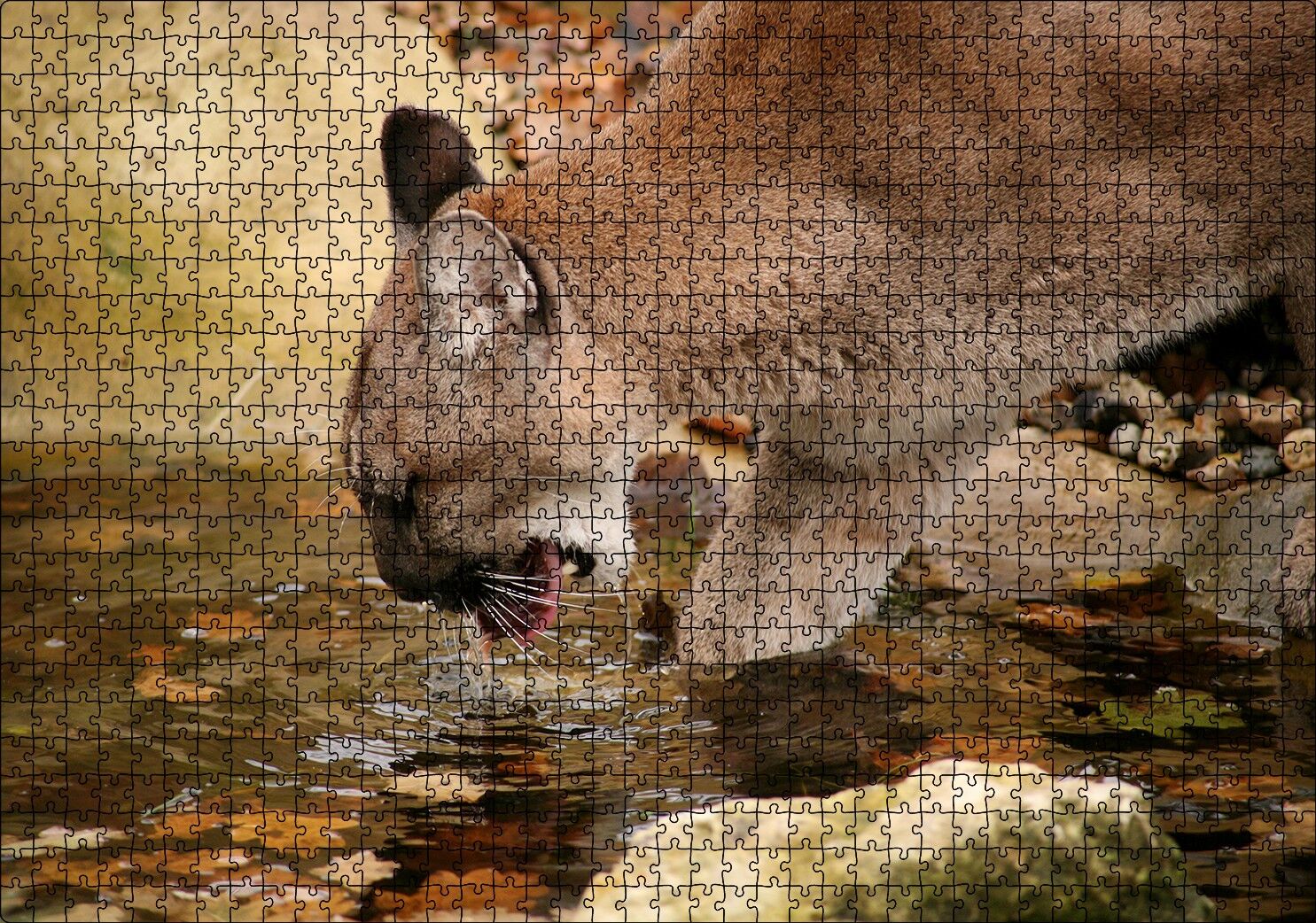 Ormandaki Puma Derede Su İçerken Görseli Puzzle Yapboz MDF Ahşap 1000 Parça 49 cm X 68 cm