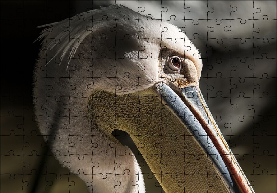 Pelikan Yakın Çekim Puzzle Yapboz MDF Ahşap 120 Parça 24 cm X 34 cm