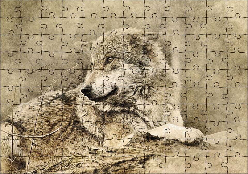 Kurt Eski Fotoğraf Puzzle Yapboz MDF Ahşap 120 Parça 24 cm X 34 cm