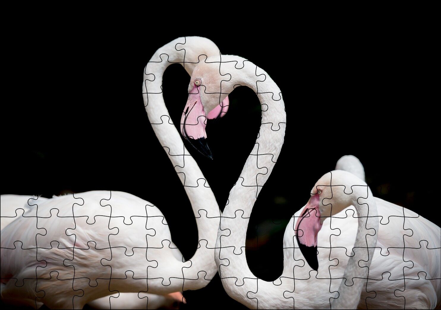 Zarif Boyunlarıyla Beyaz Flamingolar Puzzle Yapboz MDF Ahşap 120 Parça 24 cm X 34 cm