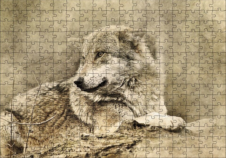 Kurt Eski Fotoğraf Puzzle Yapboz MDF Ahşap 255 Parça 34 cm X 49 cm