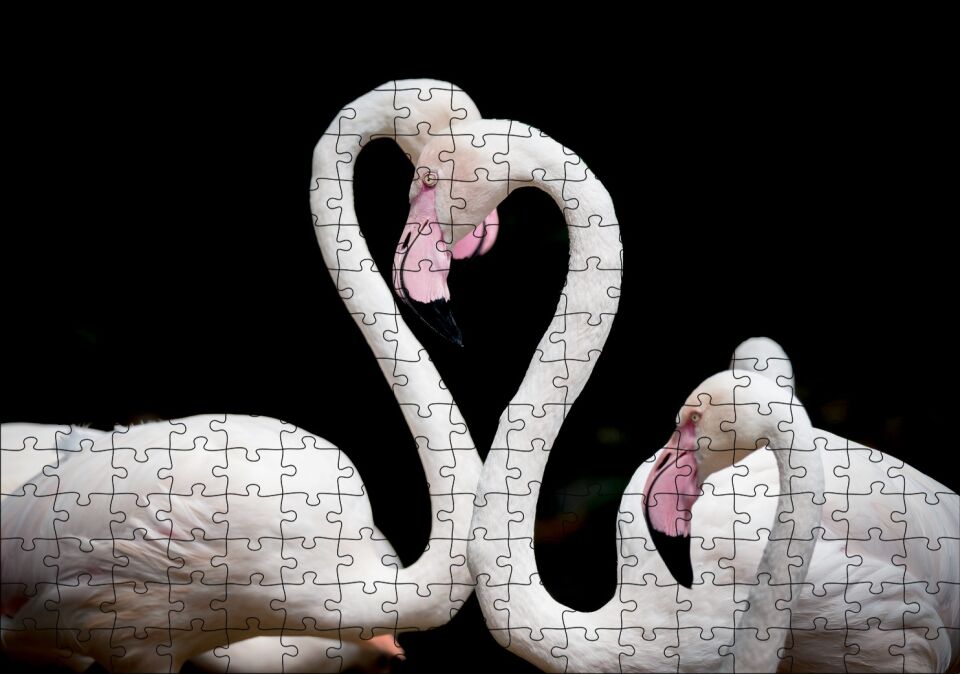 Zarif Boyunlarıyla Beyaz Flamingolar Puzzle Yapboz MDF Ahşap 255 Parça 34 cm X 49 cm