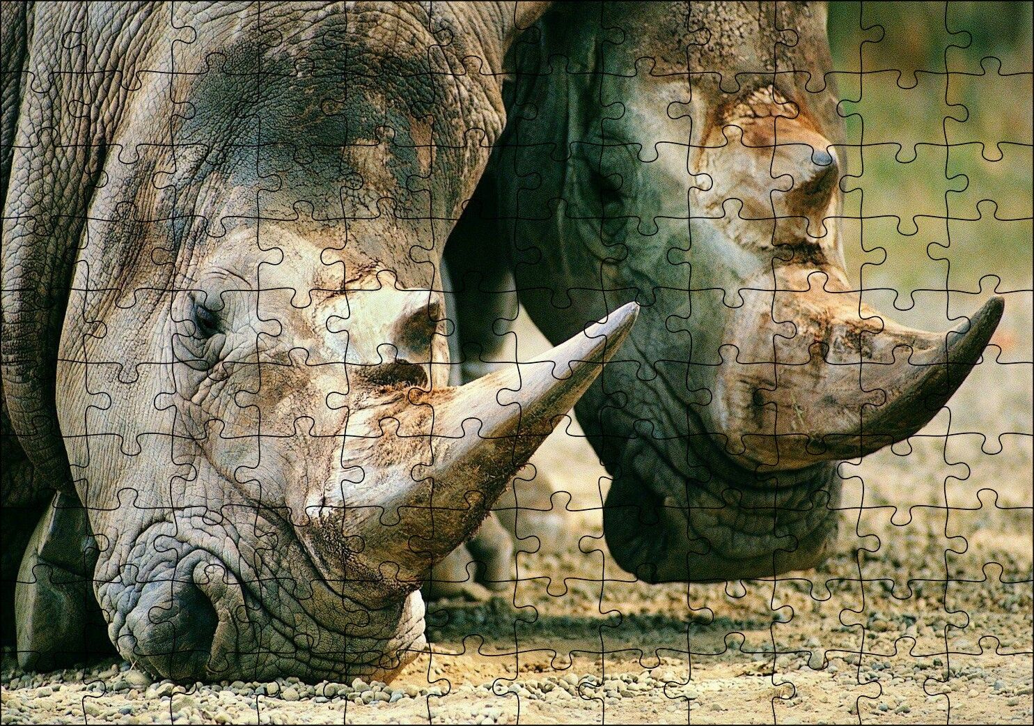 Efsanevi Gergedanlar Yakın Çekim Puzzle Yapboz MDF Ahşap 120 Parça 24 cm X 34 cm