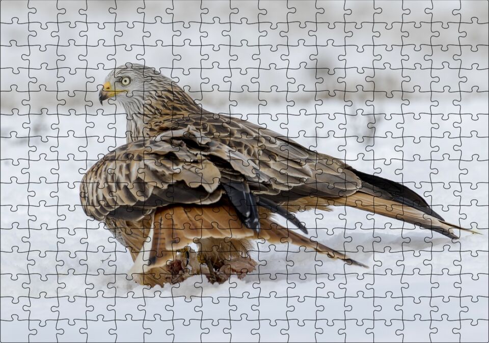 Karlar Üzerindeki Kartal ve Pençelerindeki Avı Puzzle Yapboz MDF Ahşap 255 Parça 34 cm X 49 cm