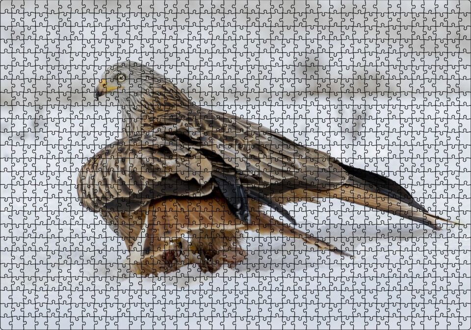 Karlar Üzerindeki Kartal ve Pençelerindeki Avı Puzzle Yapboz MDF Ahşap 1000 Parça 49 cm X 68 cm