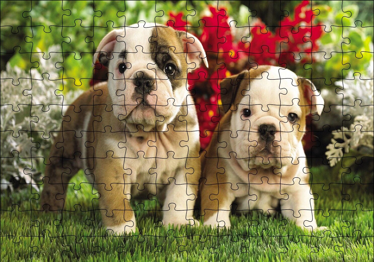 Yavru Bulldogs Puzzle Yapboz MDF Ahşap 120 Parça 24 cm X 34 cm
