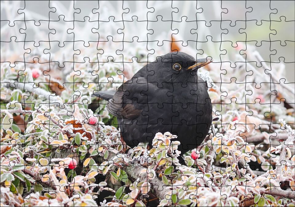 Donmuş Çalıların Arasındaki Karatavuk Puzzle Yapboz MDF Ahşap 120 Parça 24 cm X 34 cm