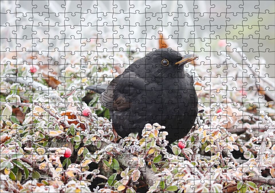 Donmuş Çalıların Arasındaki Karatavuk Puzzle Yapboz MDF Ahşap 255 Parça 34 cm X 49 cm