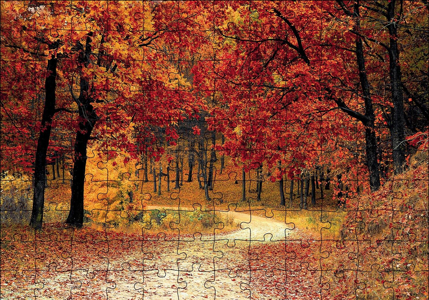 Sonbaharda Orman Görseli Puzzle Yapboz MDF Ahşap