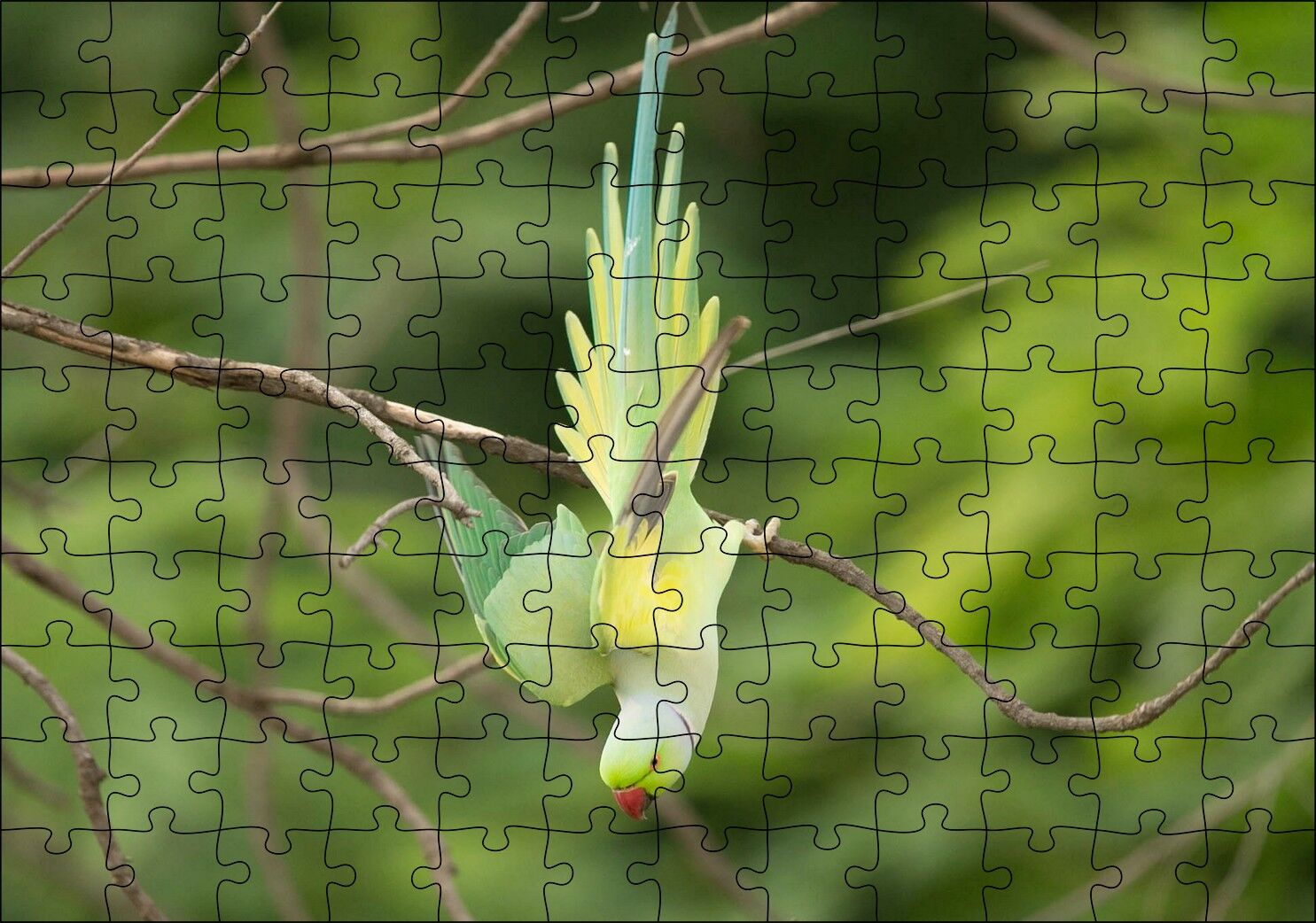 Daldan Aşağı Uçan Sarı Yeşil Papağan Puzzle Yapboz MDF Ahşap