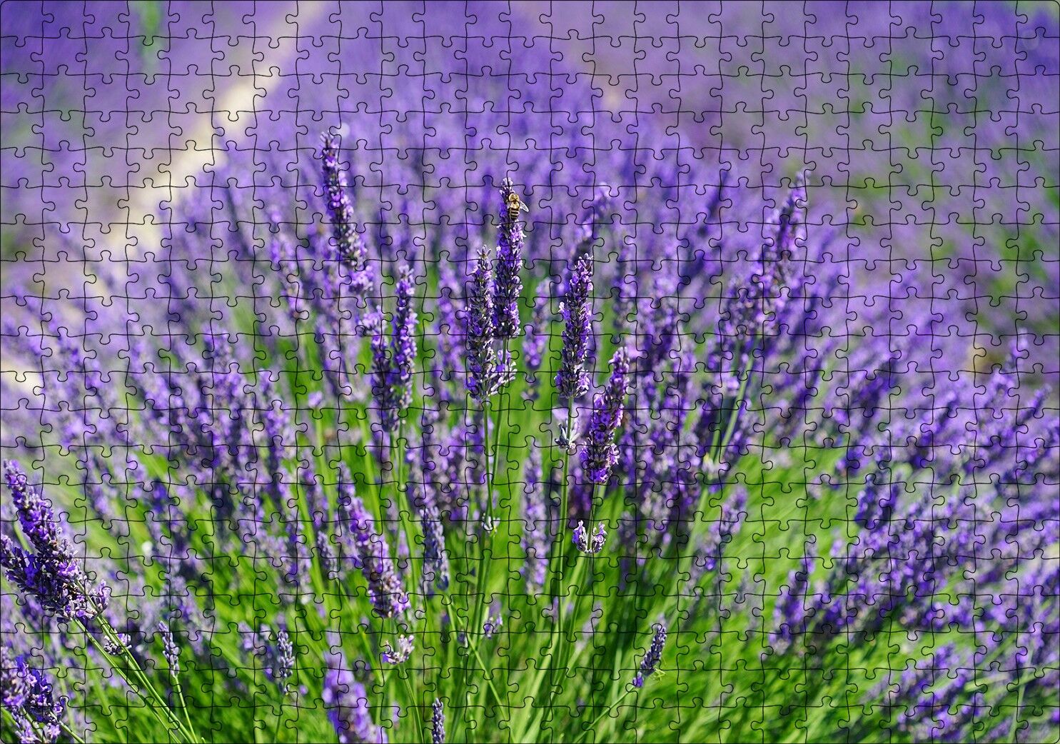 Lavanta Tarlasında Lavantalar Puzzle Yapboz MDF Ahşap 500 Parça 49 cm X 68 cm