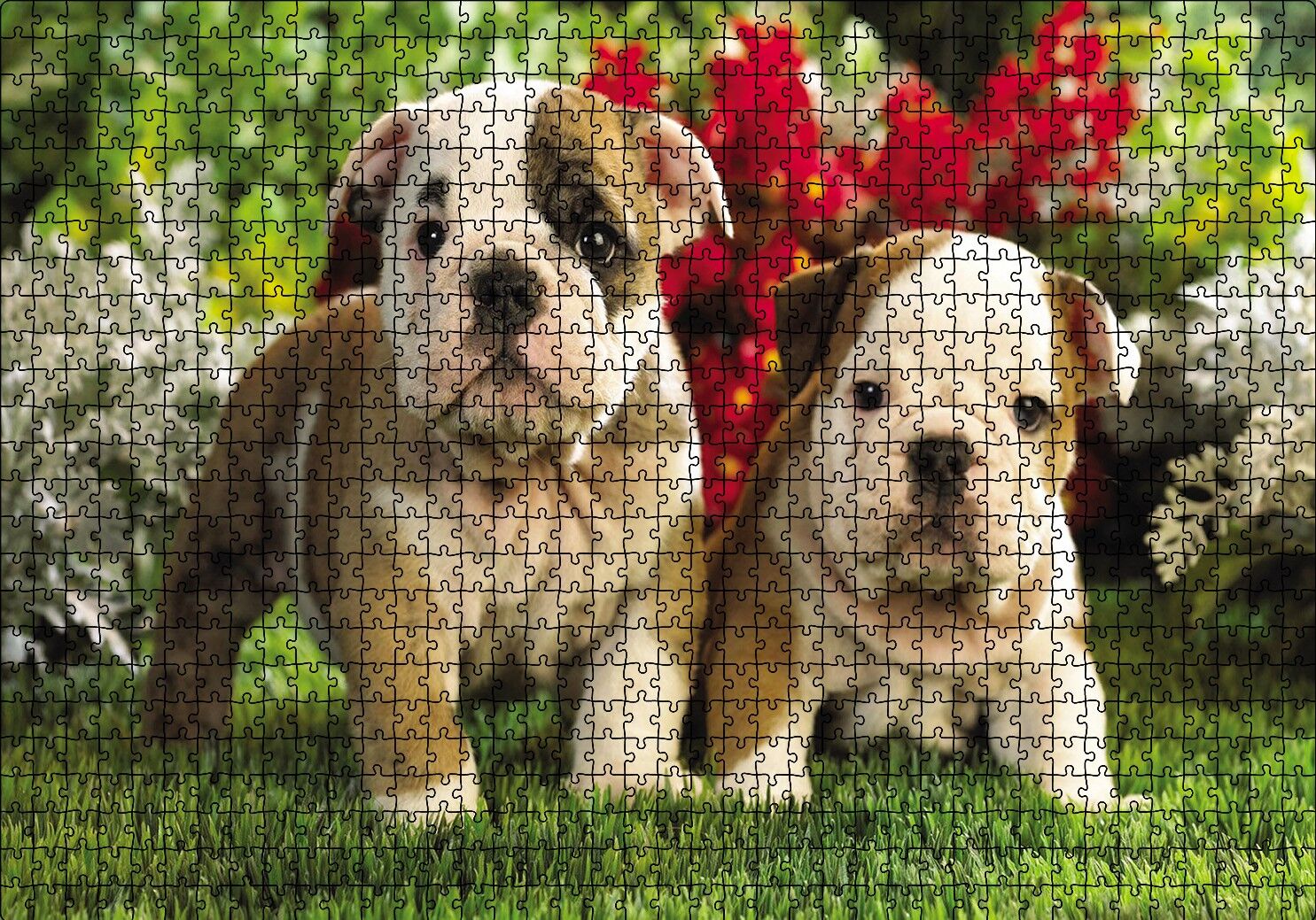 Yavru Bulldogs Puzzle Yapboz MDF Ahşap 1000 Parça 49 cm X 68 cm
