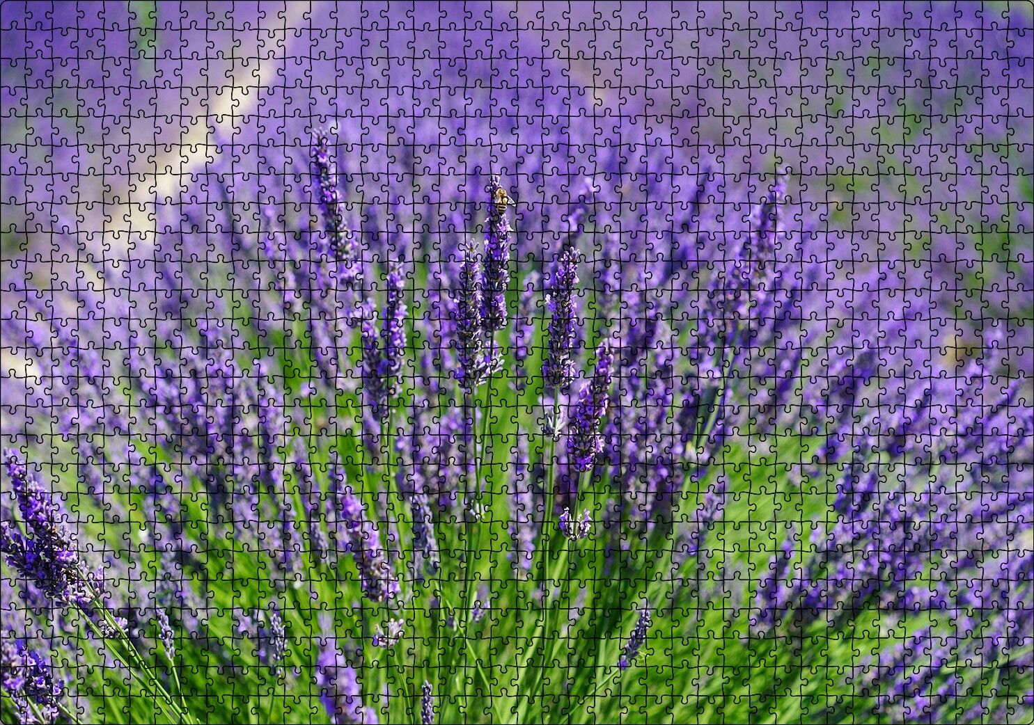 Lavanta Tarlasında Lavantalar Puzzle Yapboz MDF Ahşap 1000 Parça 49 cm X 68 cm