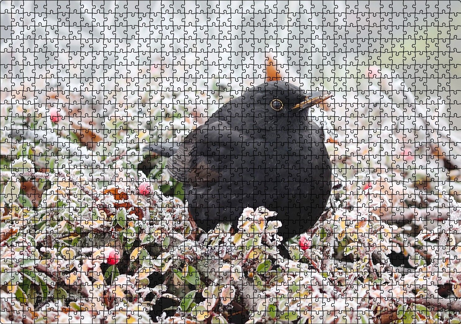 Donmuş Çalıların Arasındaki Karatavuk Puzzle Yapboz MDF Ahşap 1000 Parça 49 cm X 68 cm