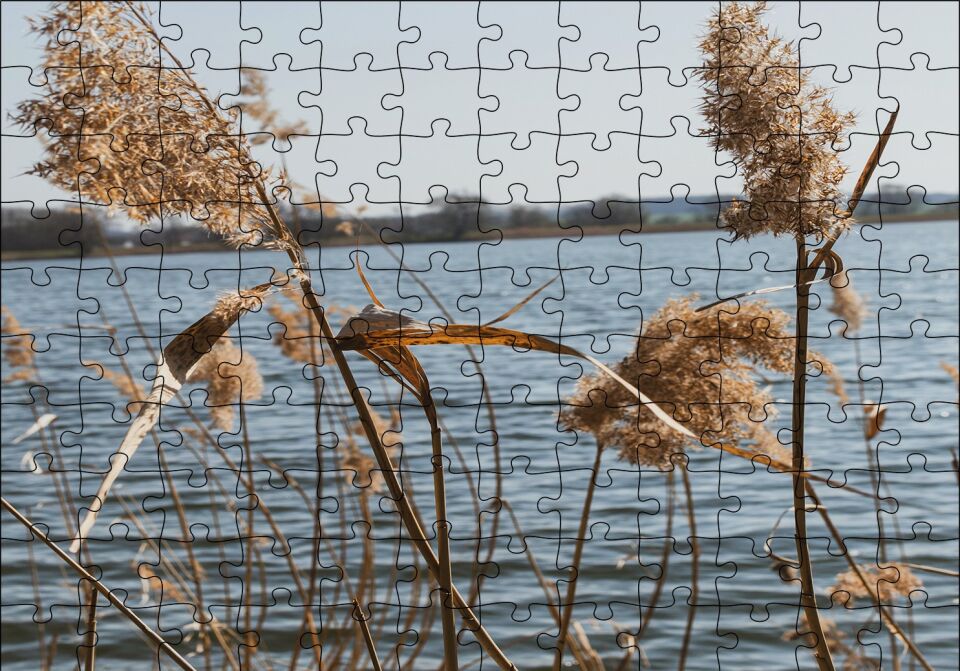 Göl Kıyısında Sazlar Puzzle Yapboz MDF Ahşap
