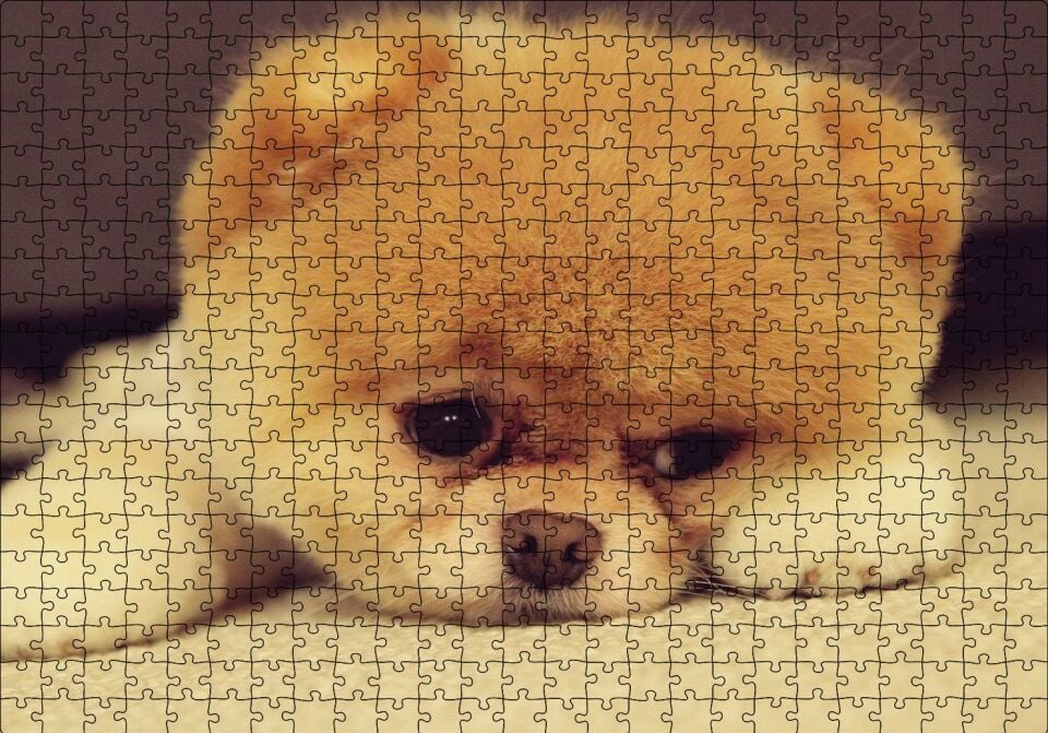 Yavru Chow Puzzle Yapboz MDF Ahşap 500 Parça 49 cm X 68 cm