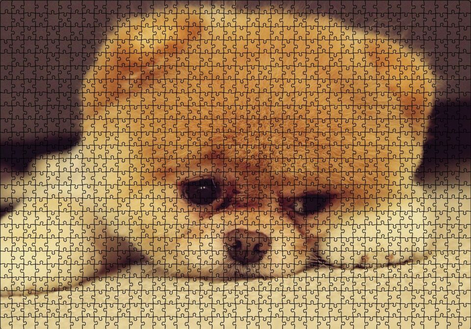 Yavru Chow Puzzle Yapboz MDF Ahşap 1000 Parça 49 cm X 68 cm