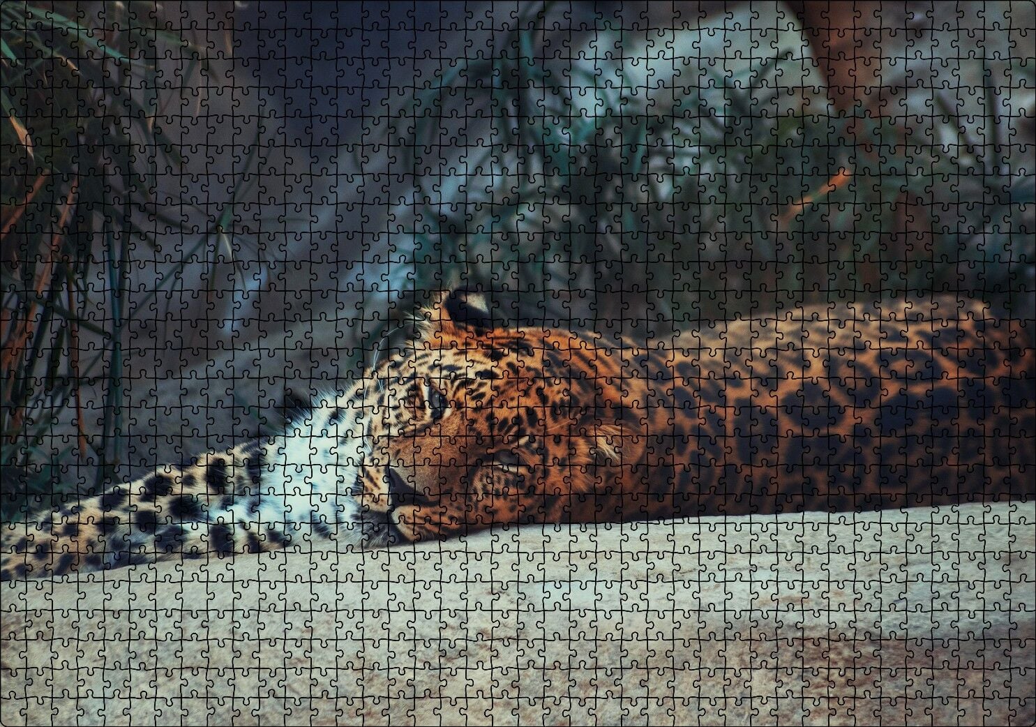 Kayanın Üzerinde Dinlenen Uykulu Jaguar Puzzle Yapboz MDF Ahşap 1000 Parça 49 cm X 68 cm