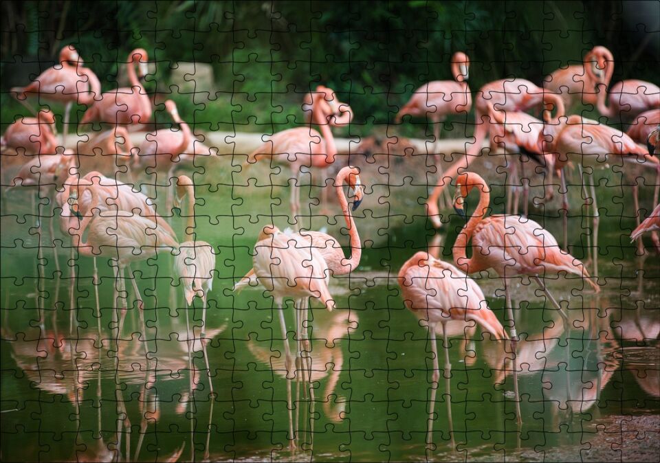 Durgun Gölde Beslenen Flamingolar Puzzle Yapboz MDF Ahşap 255 Parça 34 cm X 49 cm