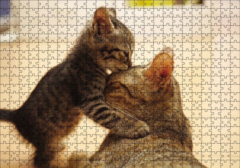 Yavru Kedi Anne Sevgisi Puzzle Yapboz MDF Ahşap 500 Parça 49 cm X 68 cm