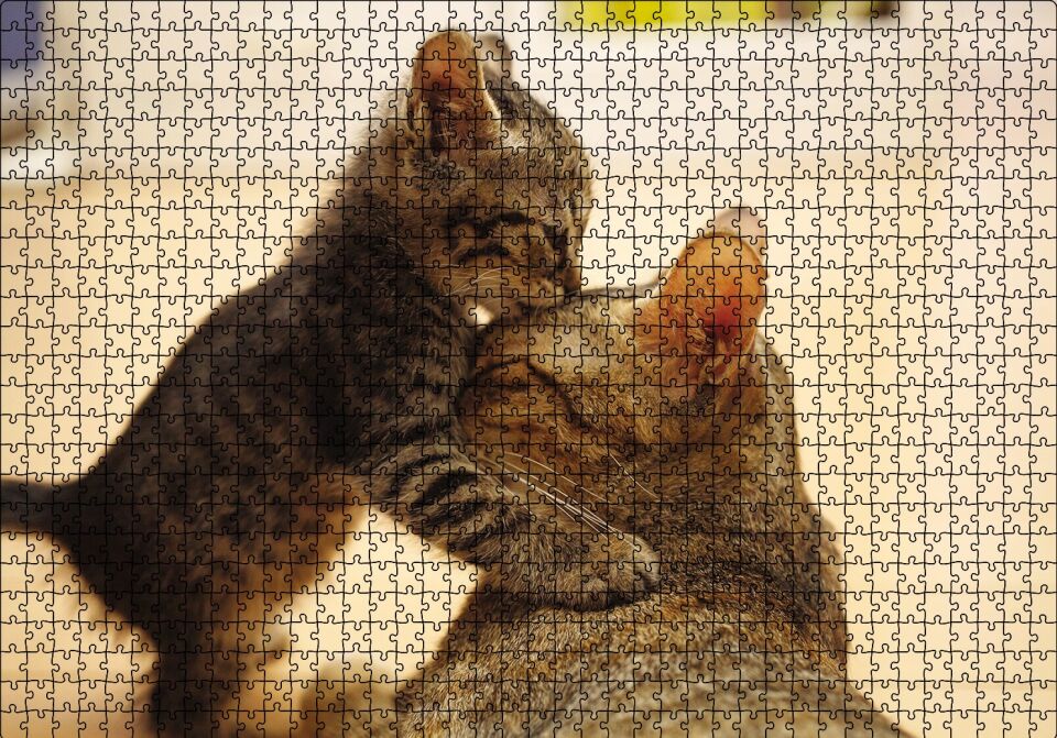 Yavru Kedi Anne Sevgisi Puzzle Yapboz MDF Ahşap 1000 Parça 49 cm X 68 cm
