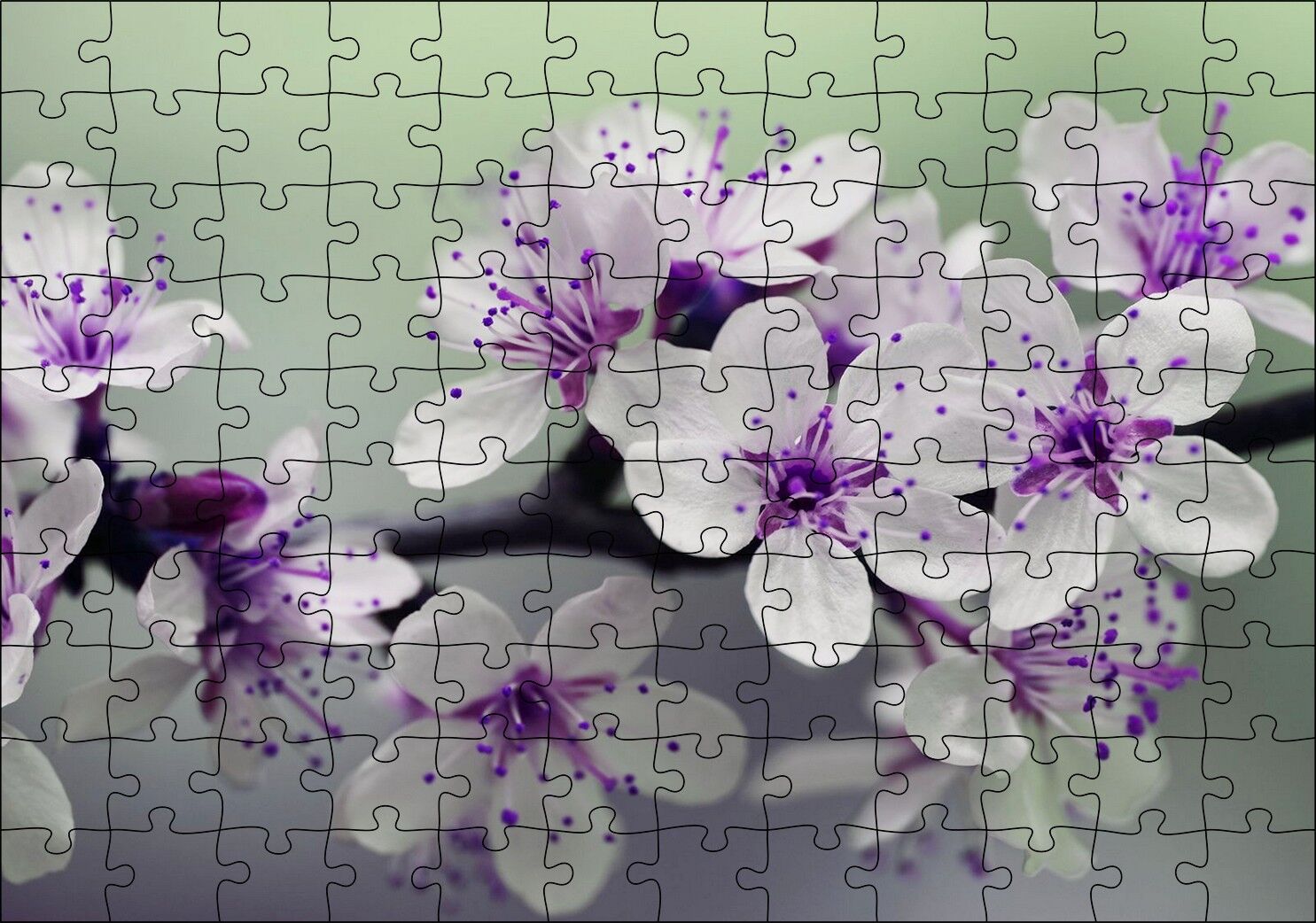 Dalda Kiraz Çiçekleri Puzzle Yapboz MDF Ahşap