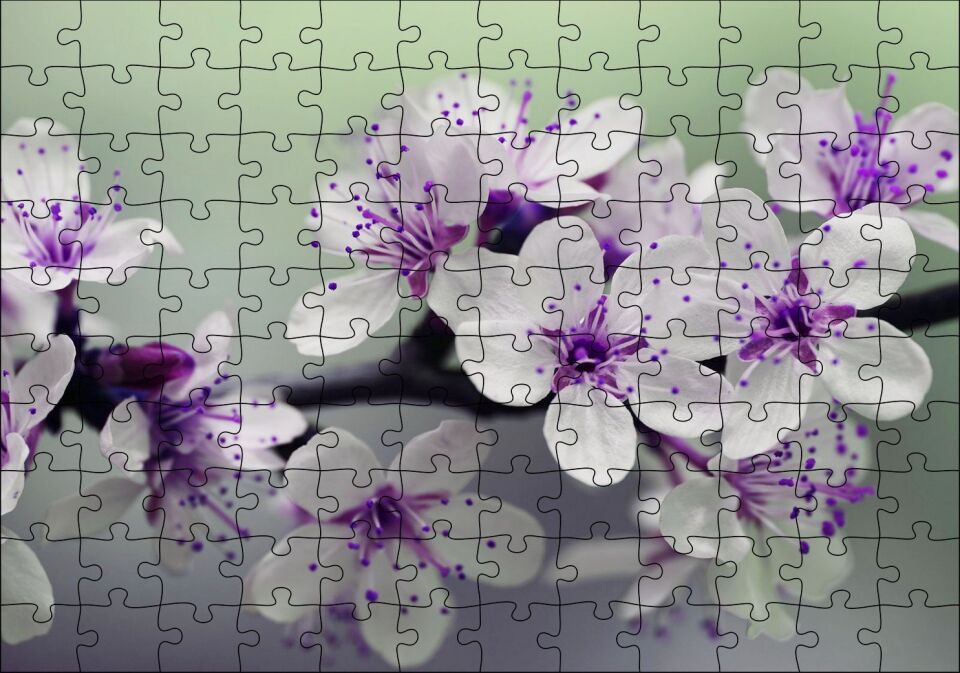 Dalda Kiraz Çiçekleri Puzzle Yapboz MDF Ahşap