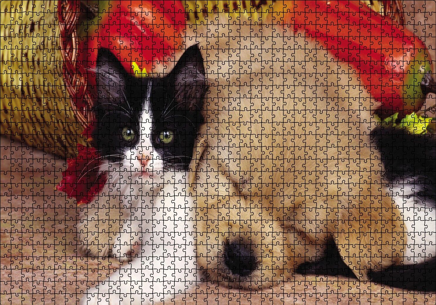 Yavru Kedi Köpek Puzzle Yapboz MDF Ahşap 1000 Parça 49 cm X 68 cm