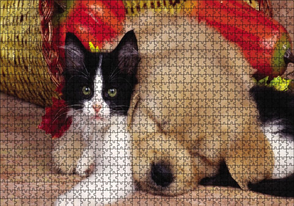Yavru Kedi Köpek Puzzle Yapboz MDF Ahşap 1000 Parça 49 cm X 68 cm