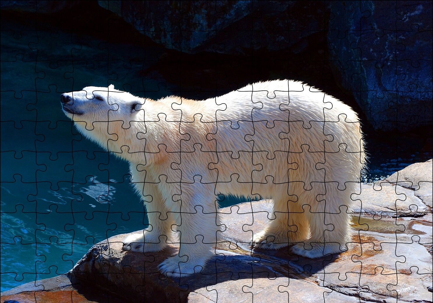 Kutup Ayısı Hayvanat Bahçesinde Puzzle Yapboz MDF Ahşap 120 Parça 24 cm X 34 cm