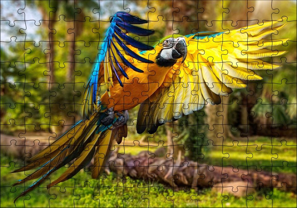 Papağan Mavi Turuncu Sarı Ormanda Uçuyor Puzzle Yapboz MDF Ahşap 120 Parça 24 cm X 34 cm