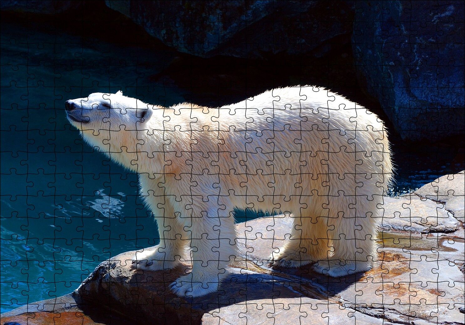 Kutup Ayısı Hayvanat Bahçesinde Puzzle Yapboz MDF Ahşap 255 Parça 34 cm X 49 cm