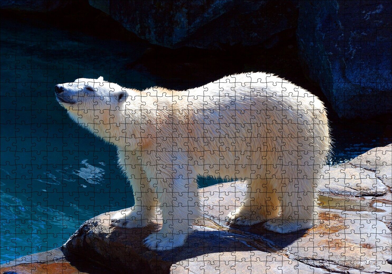 Kutup Ayısı Hayvanat Bahçesinde Puzzle Yapboz MDF Ahşap 500 Parça 49 cm X 68 cm