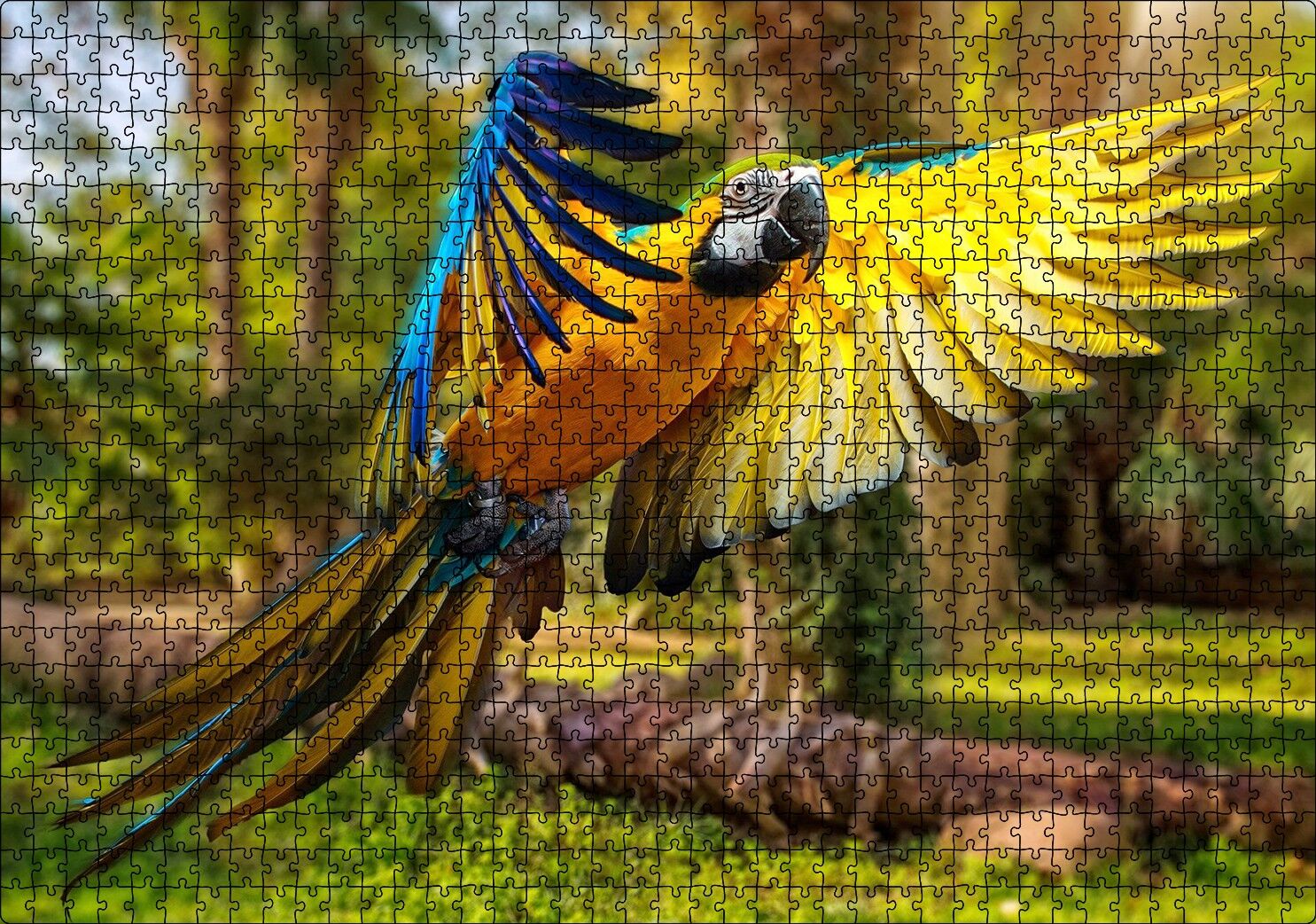 Papağan Mavi Turuncu Sarı Ormanda Uçuyor Puzzle Yapboz MDF Ahşap 1000 Parça 49 cm X 68 cm