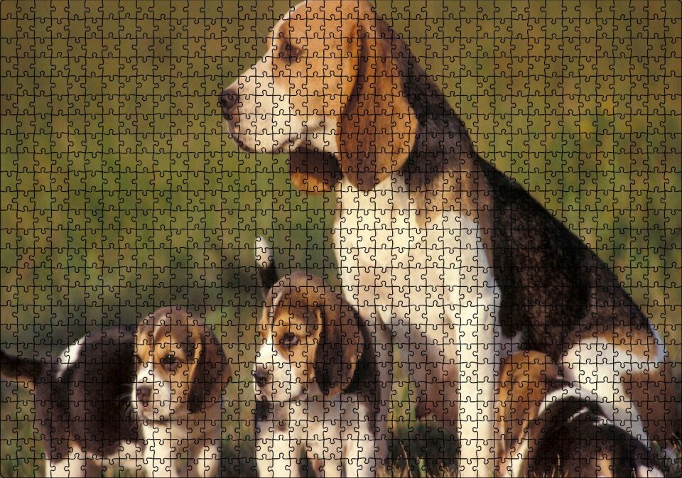 Anne Beagle ve Sevimli Yavruları Puzzle Yapboz MDF Ahşap 1000 Parça 49 cm X 68 cm