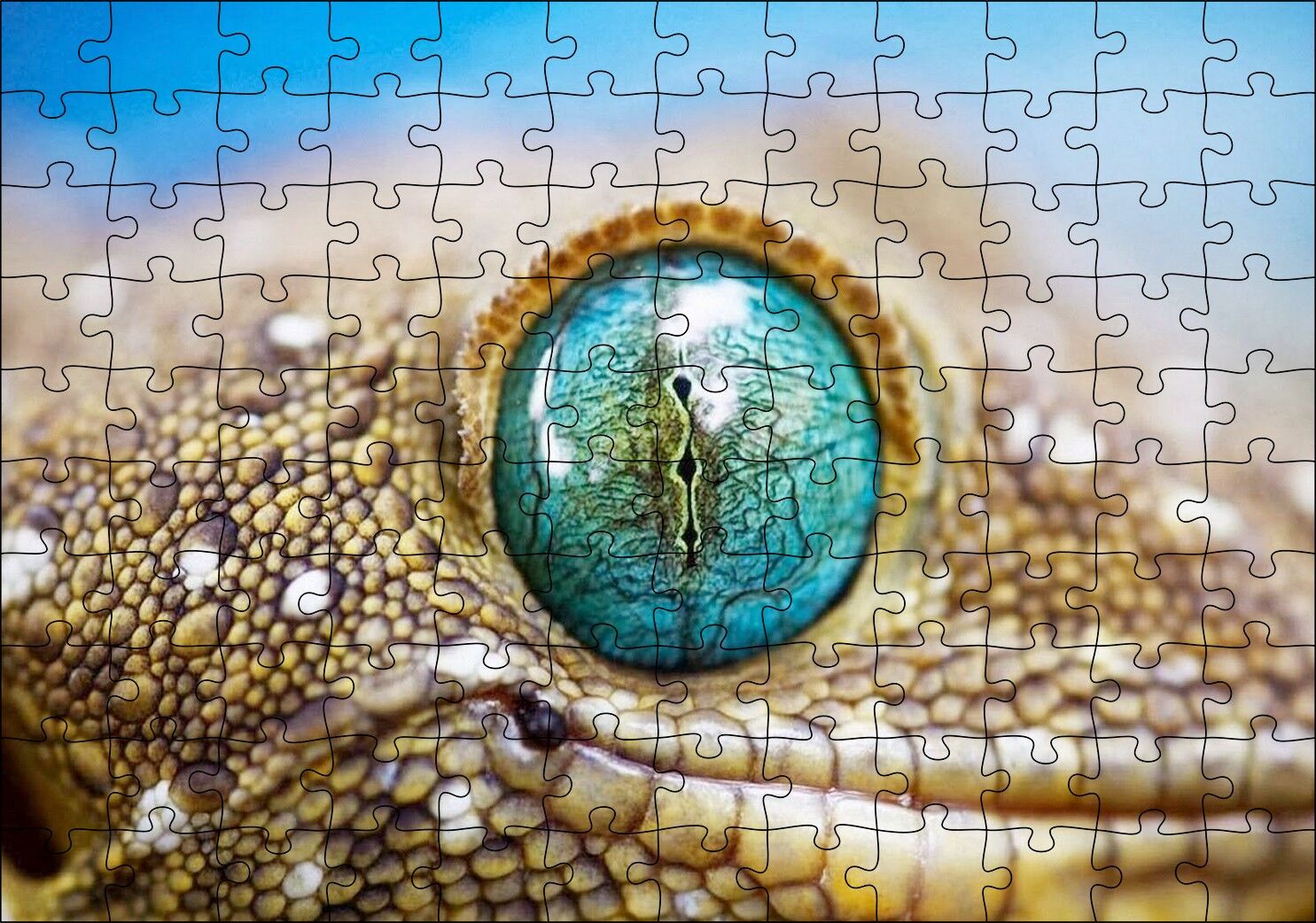 Geko Kertenkelesi Gözü Makro Çekim Puzzle Yapboz MDF Ahşap 120 Parça 24 cm X 34 cm