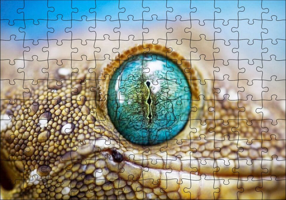Geko Kertenkelesi Gözü Makro Çekim Puzzle Yapboz MDF Ahşap 120 Parça 24 cm X 34 cm