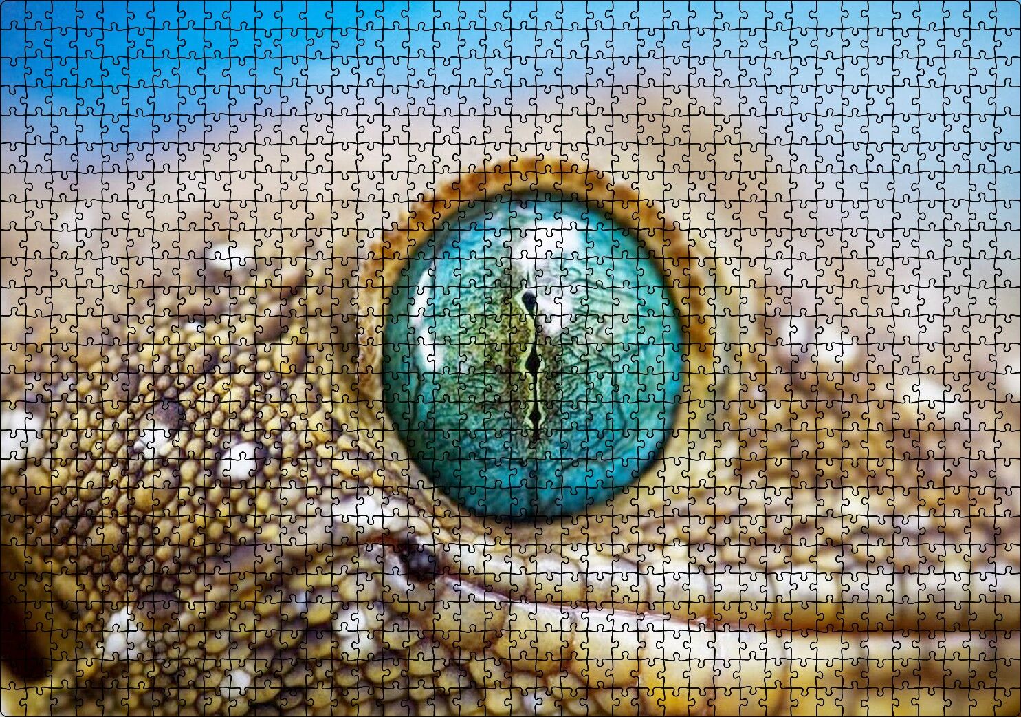 Geko Kertenkelesi Gözü Makro Çekim Puzzle Yapboz MDF Ahşap 1000 Parça 49 cm X 68 cm