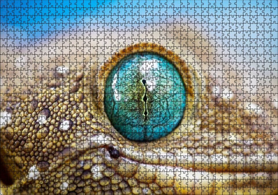Geko Kertenkelesi Gözü Makro Çekim Puzzle Yapboz MDF Ahşap 1000 Parça 49 cm X 68 cm