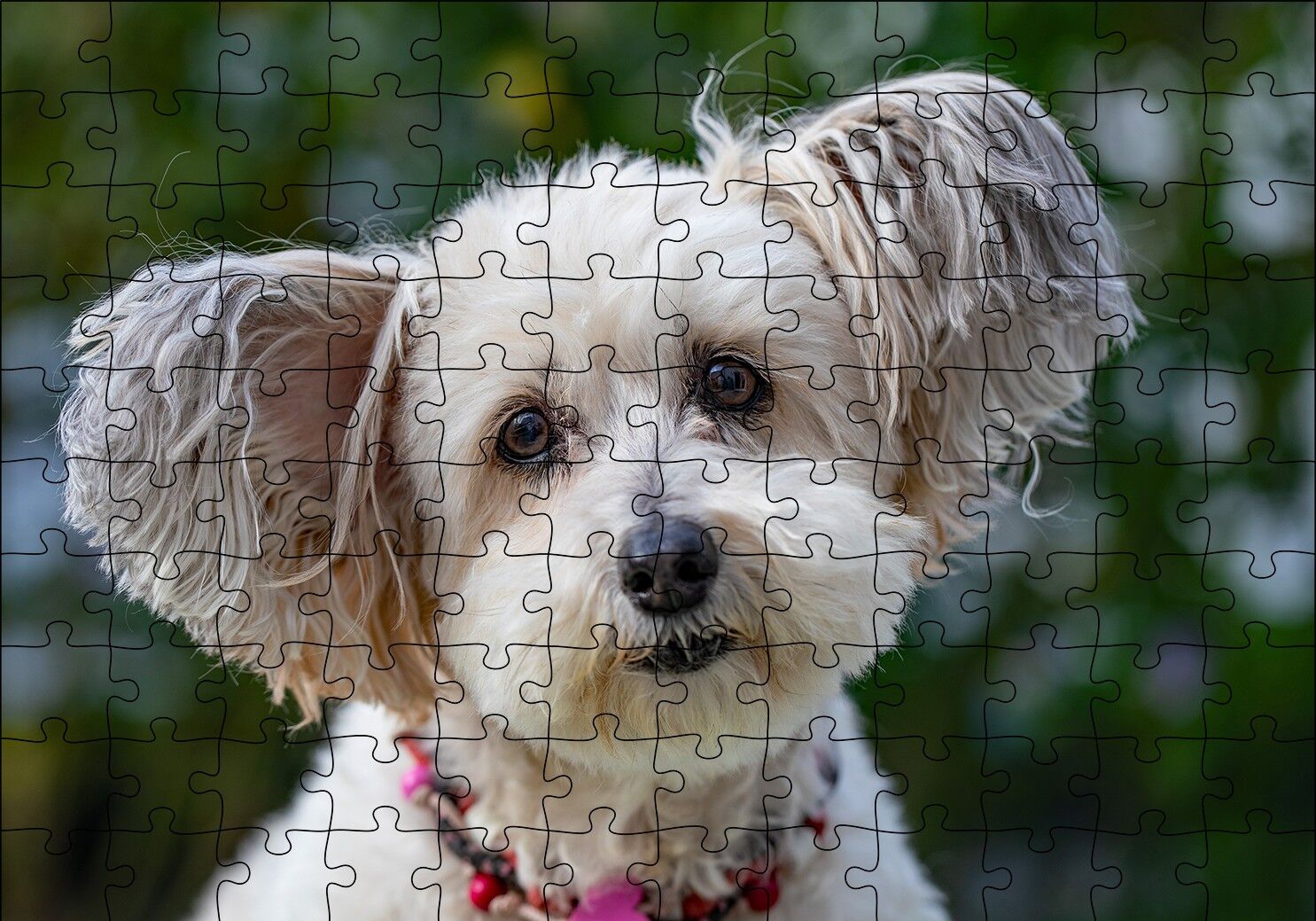 Sevimli Beyaz Terrier Puzzle Yapboz MDF Ahşap 120 Parça 24 cm X 34 cm