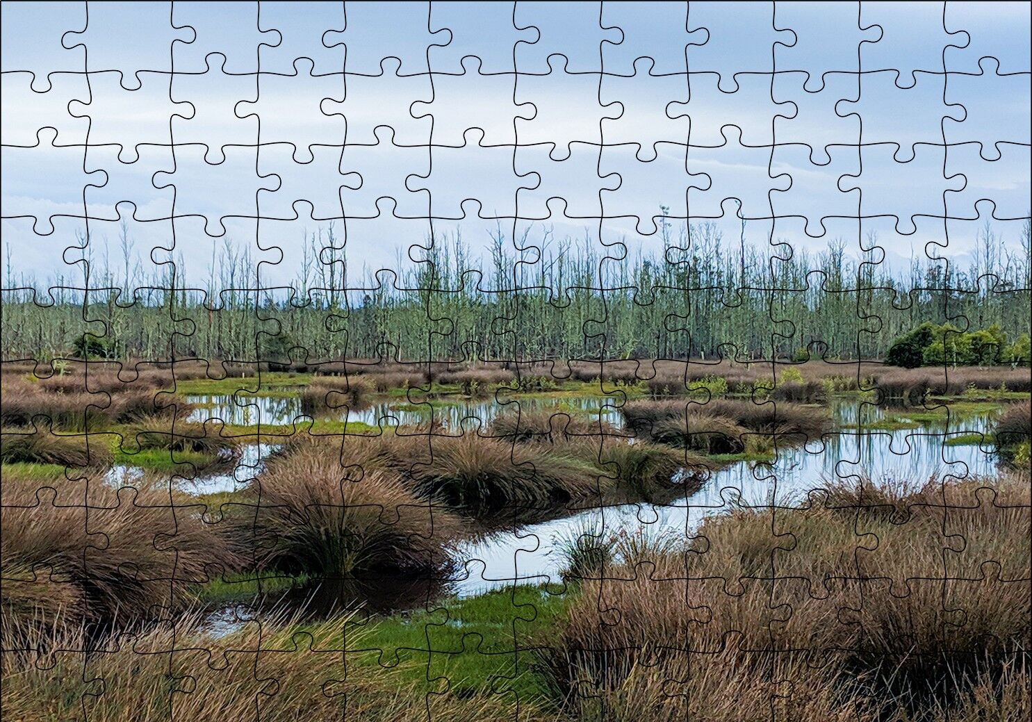 Sazlıklar ve Su Kenarında Otlar Puzzle Yapboz MDF Ahşap