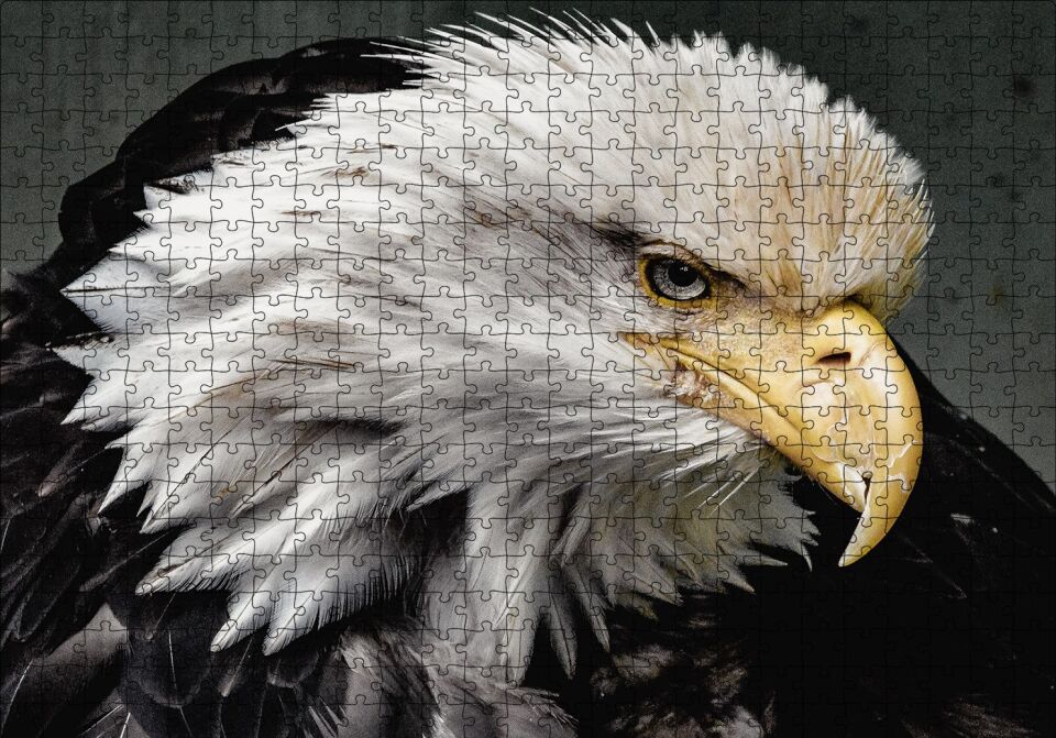 Amerikan Kartalı Makro Çekim Puzzle Yapboz MDF Ahşap 500 Parça 49 cm X 68 cm