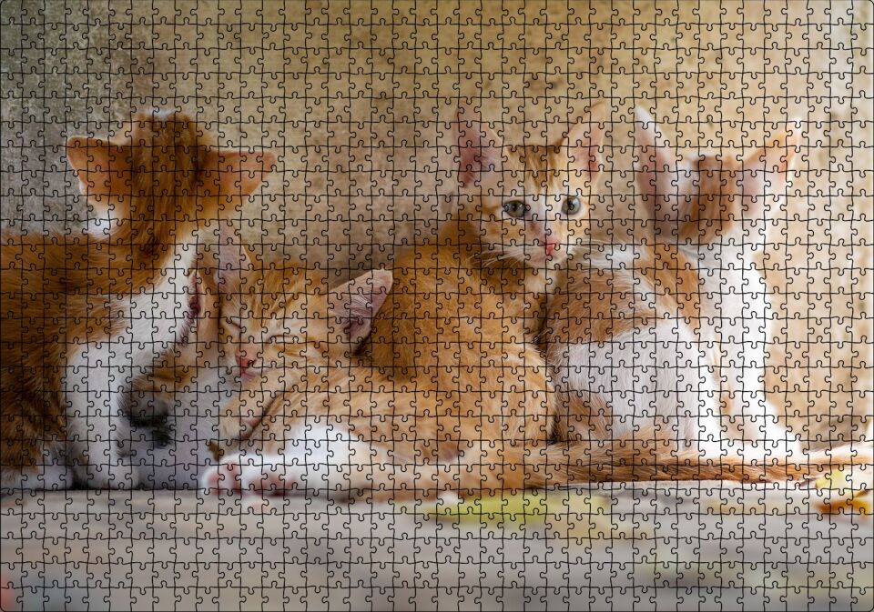 Sevimli Sarman Yavruları Puzzle Yapboz MDF Ahşap 1000 Parça 49 cm X 68 cm